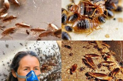 Homemade Insect Repellent: Stop Wasting Money On Store-Bought Sprays! (an)