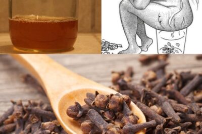 Why Putting Cloves on Your Belly Could Be the Natural Remedy You’ve Been Missing (an)