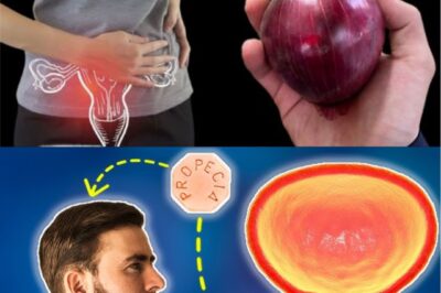 🧅 Onions for Prostate Health: A Simple, Natural Boost for Men’s Wellness (an)