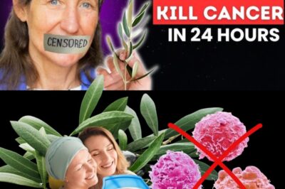 Rethinking Cancer: Barbara O’Neill’s Take on Natural Healing and the Pharmaceutical Industry (an)