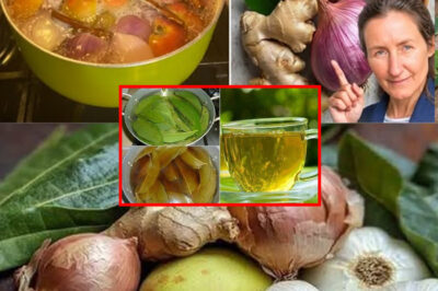 The best tea in the morning and after dinners: Garlic 🧄, turmeric, onion 🧅, ginger 🫚, cinnamon, and guava leaves 🍃 /d