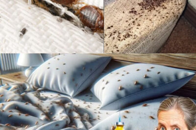 Eliminate Bedbugs Naturally with Ingredients You Already Have in Your Home and Garden /d