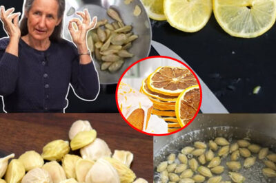 10 Ingenious Ways to Reuse Lemon Seeds at Home /d