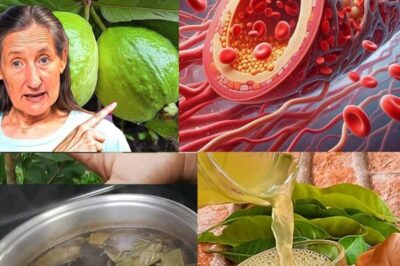 Energizing and Calming Teas: The Perfect Blends to Start Your Day and Unwind Your Evening (an)
