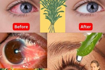Nature’s Visionaries: 5 Leafy Superfoods for Crystal-Clear Eyesight (an)