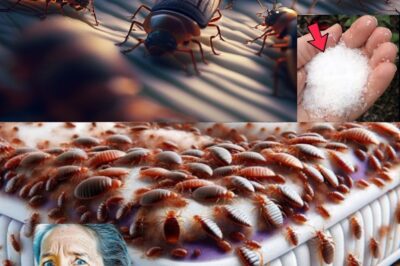 Eliminate Bedbugs Naturally with Ingredients You Already Have in Your Home and Garden (an)