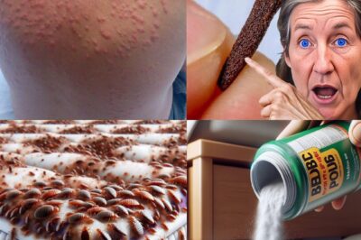 Natural Pest Control: Safely Eliminate Bed Bugs and Household Pests with Diatomaceous Earth and Cloves (an)
