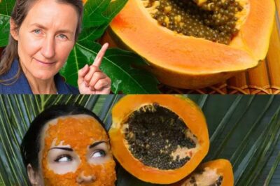 Unlock the Hidden Power of Papaya Seeds: A Nutritional Goldmine You Shouldn’t Overlook (an)