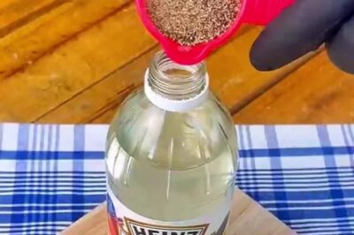 The Natural Pet Pee Deterrent: Why Mixing Vinegar with Pepper Will Change Your Life Forever (an)