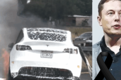 Breaking News: Elon Musk, Goodbye Musk (NG)