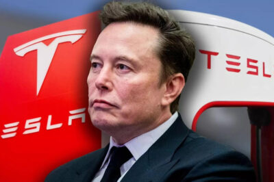 Elon Musk’s Wild Plan to Father ‘Legion’ of Kids by Hitting Women Up on X Revealed …