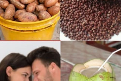 Natural Hydration and Wellness: The Power of Bitter Kola, Coconut Water, and Alligator Pepper (an)
