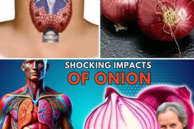 The Surprising Health Benefits of Onions: More Than Just a Kitchen Staple.