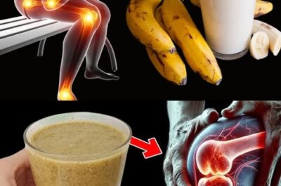 Homemade Collagen for Pain, Inflammation & Joint Health: The Natural Solution Your Body Deserves
