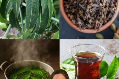 Mango Leaf and Clove Tea: A Gentle Herbal Support for Daily Wellness
