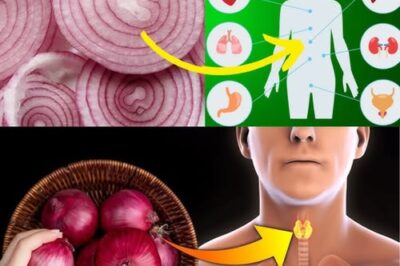 🧅 Eat Red Onions Daily and Watch This Happen – Doctors Never Say THIS!