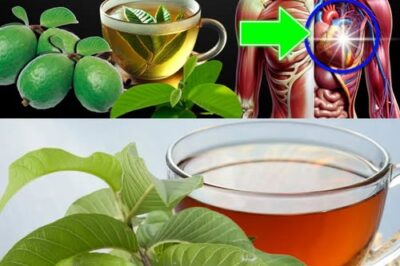 9 Diseases Cured with Guava Leaf Tea (How to Make It)