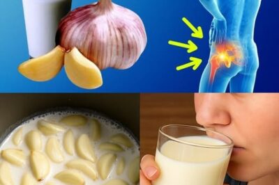 Golden Elixir: The Ancient Healing Power of Turmeric Milk