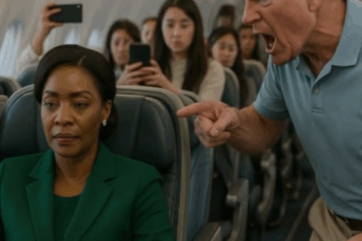 Vuelo 912: La humillación que terminó en justicia cuando la mujer expulsada resultó ser la dueña de la aerolínea