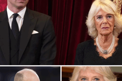Queen Camilla suddenly forced out of the palace just as Prince William’s coronation date is announced — the shocking royal shake-up no one saw coming