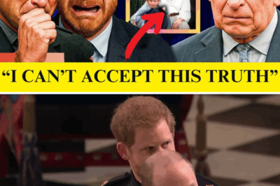 Prince William & Harry BREAK IN TEARS As King Charles REVEALS Princess Diana’s Final Wish