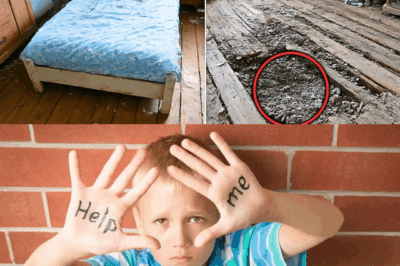 The Mysterious Room: Dad’s Discovery Beneath the Floorboards Changes Everything