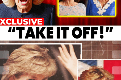 Catherine BREAKS DOWN After Camilla BLOCKS Her From Wearing Diana’s Favorite Tiara