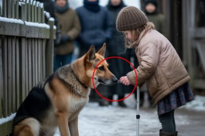 La niña ciega que transformó el destino de un perro temido por todo un pueblo