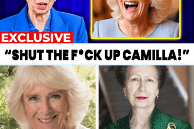 Royal dinner explodes in chaos as Princess Anne fiercely defends Diana, silencing Queen Camilla and shaking the monarchy forever.