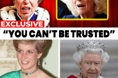 King Charles’s bombshell confession—“I never stopped loving Diana”—leaves Queen Camilla furious, sparking whispers of heartbreak and royal scandal.