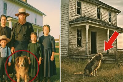El Regreso de Chester: El Perro que Reabrió el Misterio de la Familia Amish Desaparecida